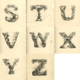Illustration for article titled Youve never seen the ABCs look this bizarre and wonderful